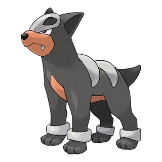 Houndour — Pokémon GO Dark and Fire artwork
